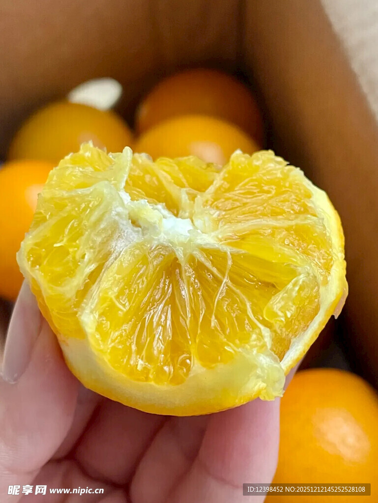 手捧剥开的新鲜黄橙子