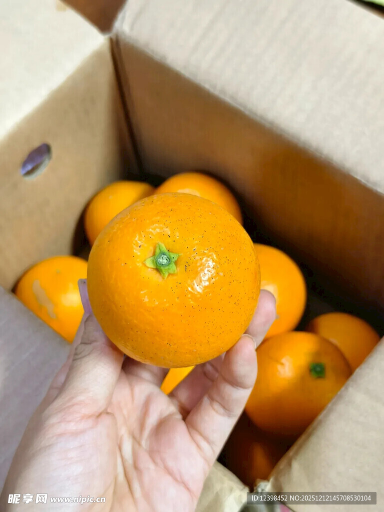 手捧箱中新鲜橘子