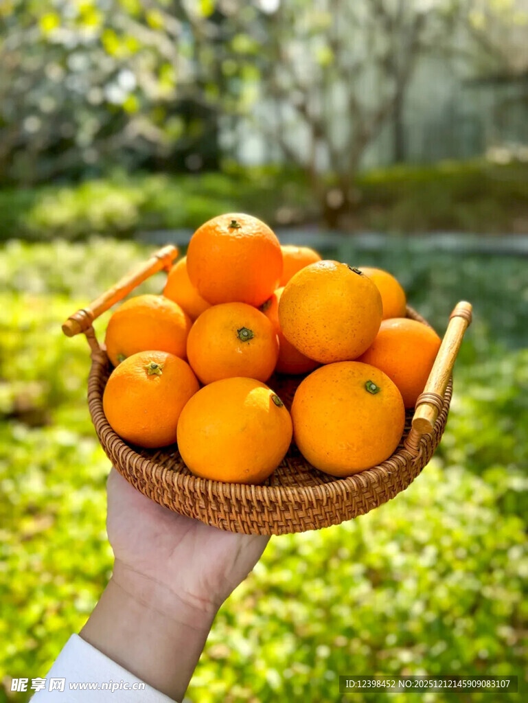 手捧竹篮中的新鲜橙子