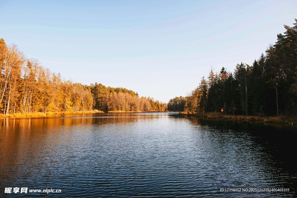 秋日宁静湖泊与岸边树林