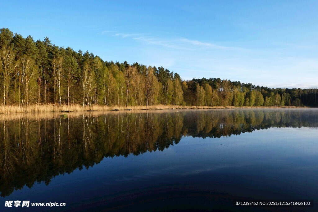 宁静湖畔森林倒影美景