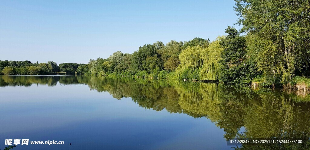 宁静湖畔的自然美景