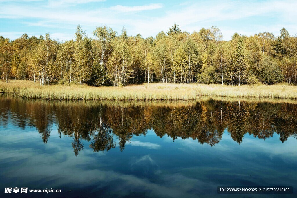 宁静湖畔森林倒影美景