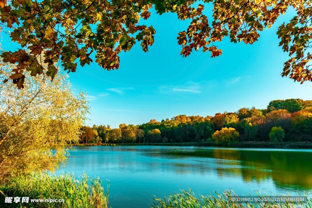 秋日湖畔美景