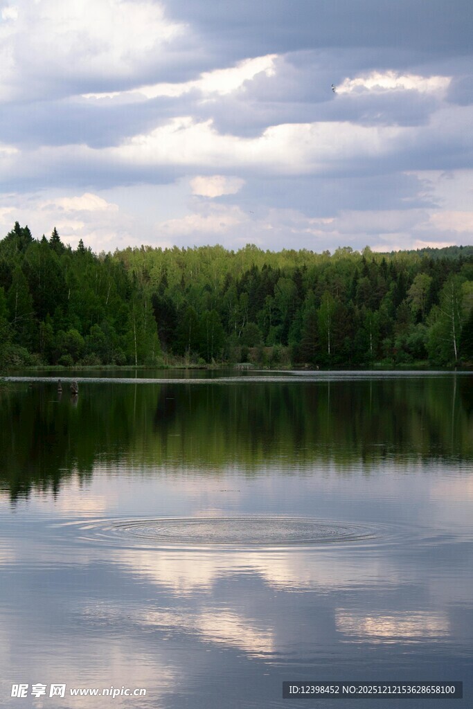 宁静湖畔的自然美景