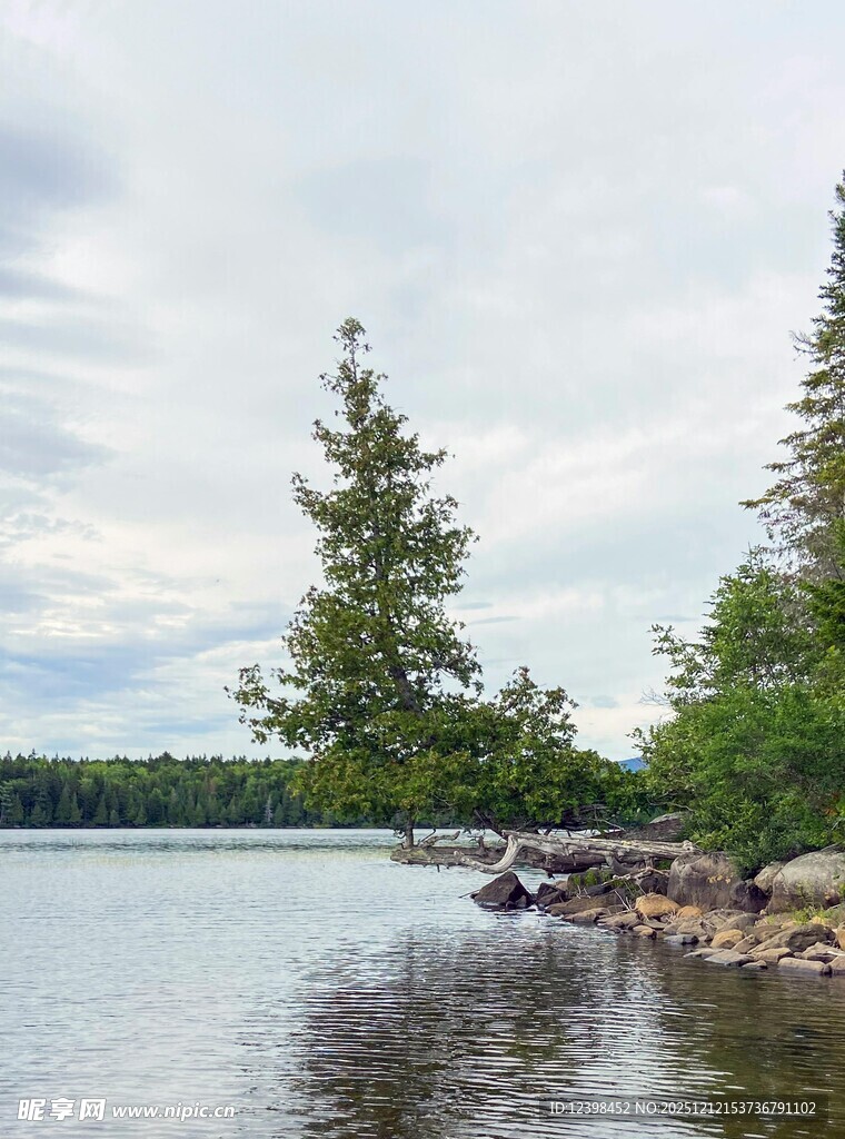 湖畔绿树成荫的宁静景致