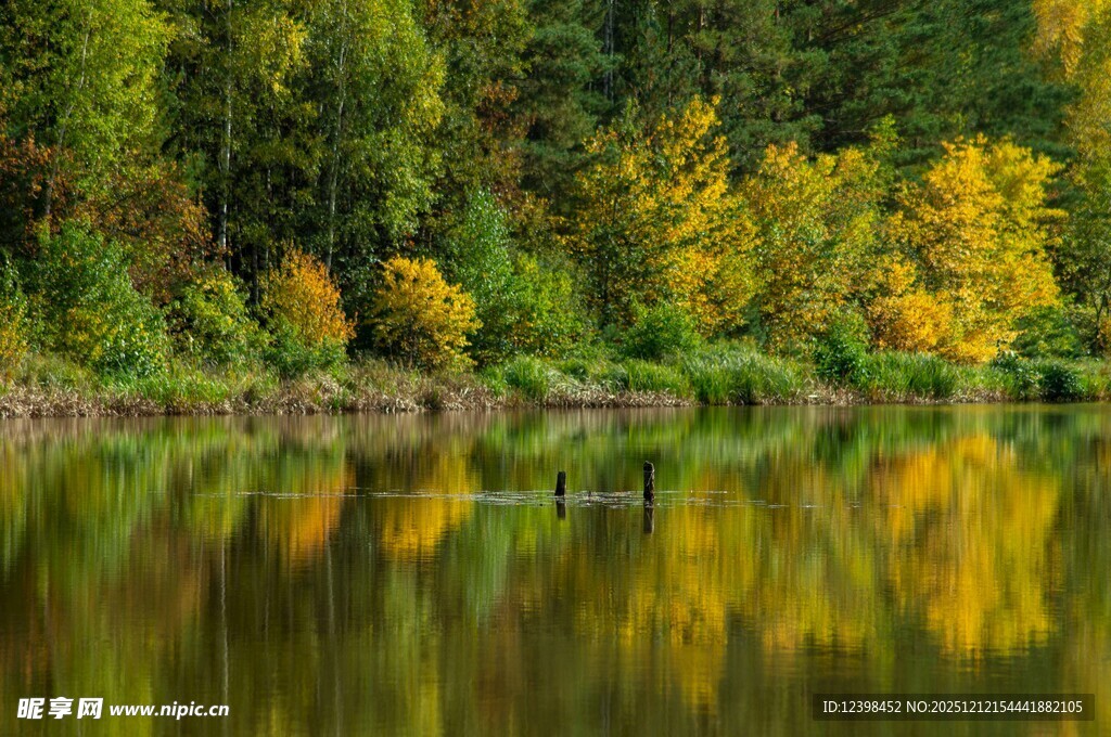 秋日湖畔美景