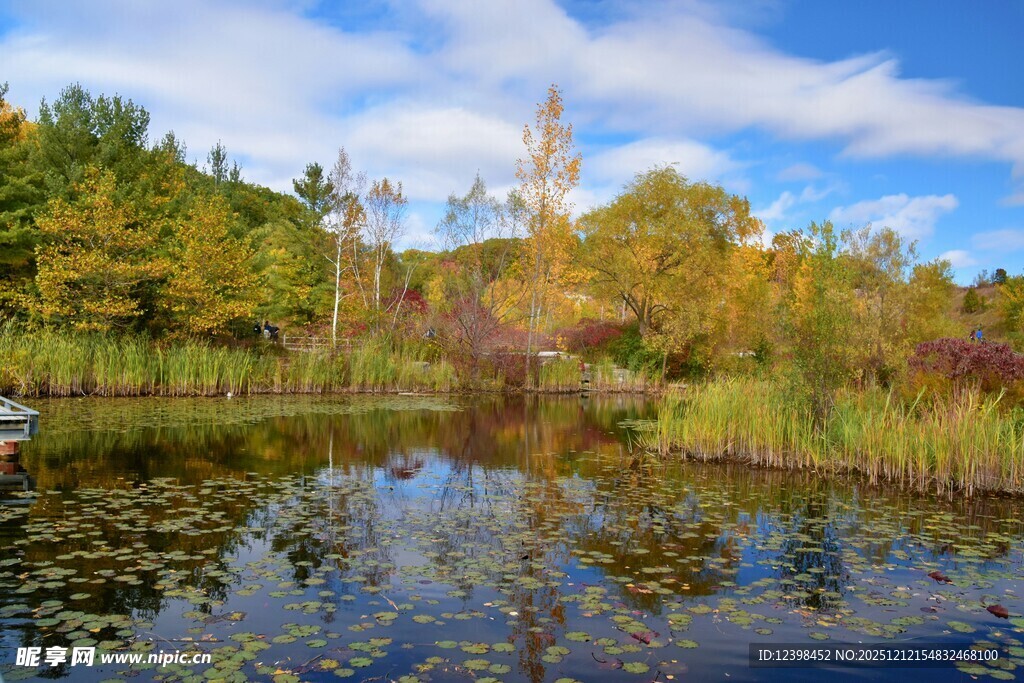 秋日湖畔美景