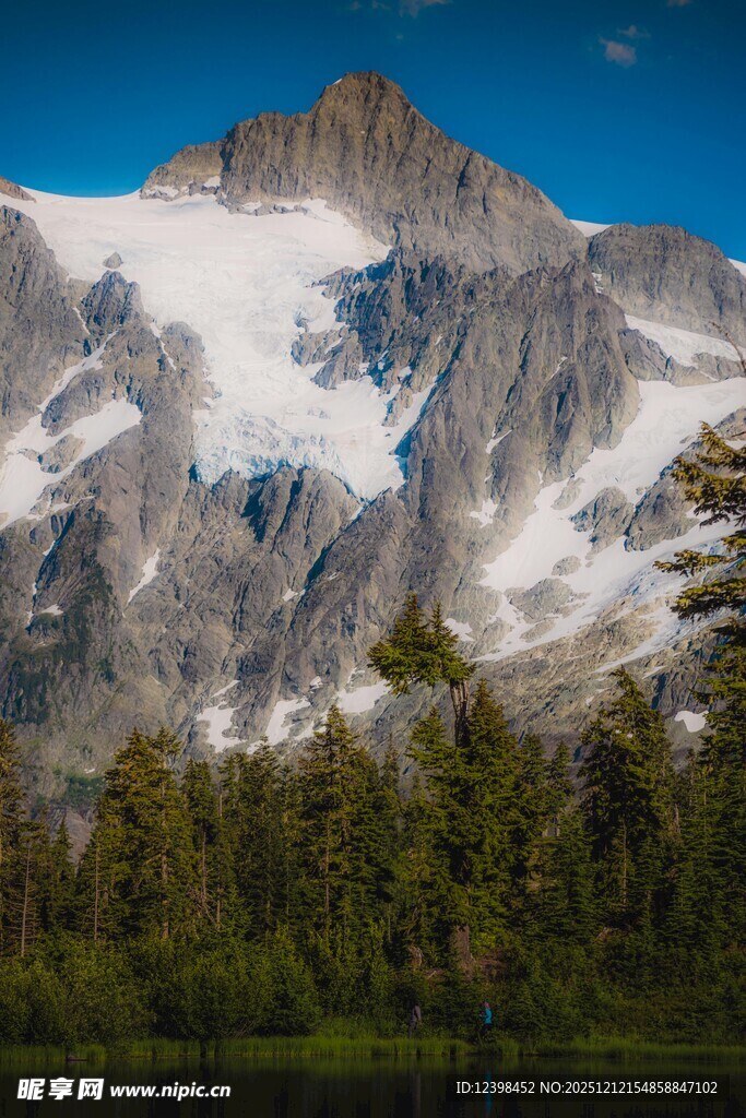 雪山森林壮丽自然风光