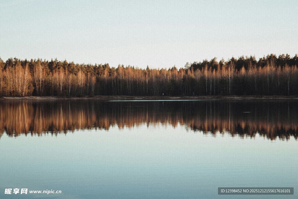 宁静湖面倒映金黄树林