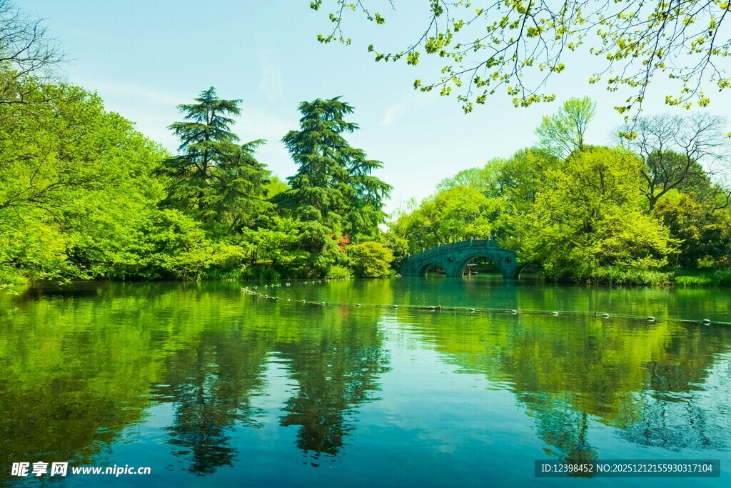 湖畔绿意盎然的宁静美景