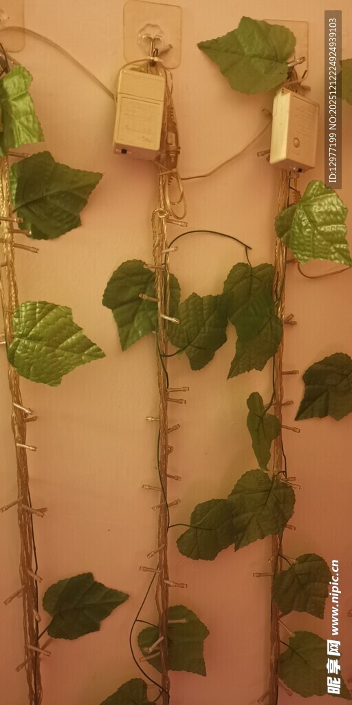 墙上绿植藤蔓装饰景观