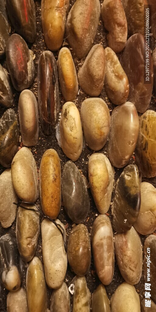 多彩饱满的各类干果展示