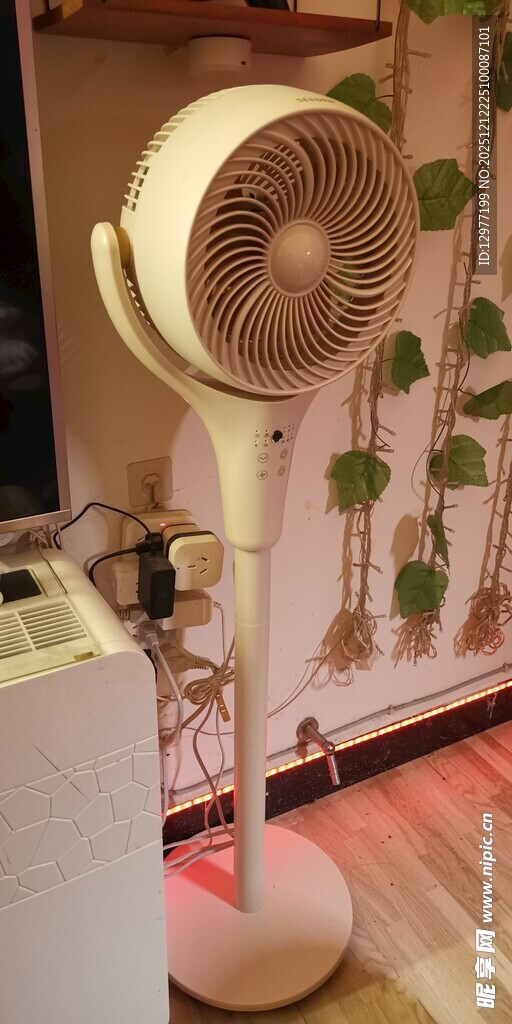 时尚立式风扇 家居清凉好物