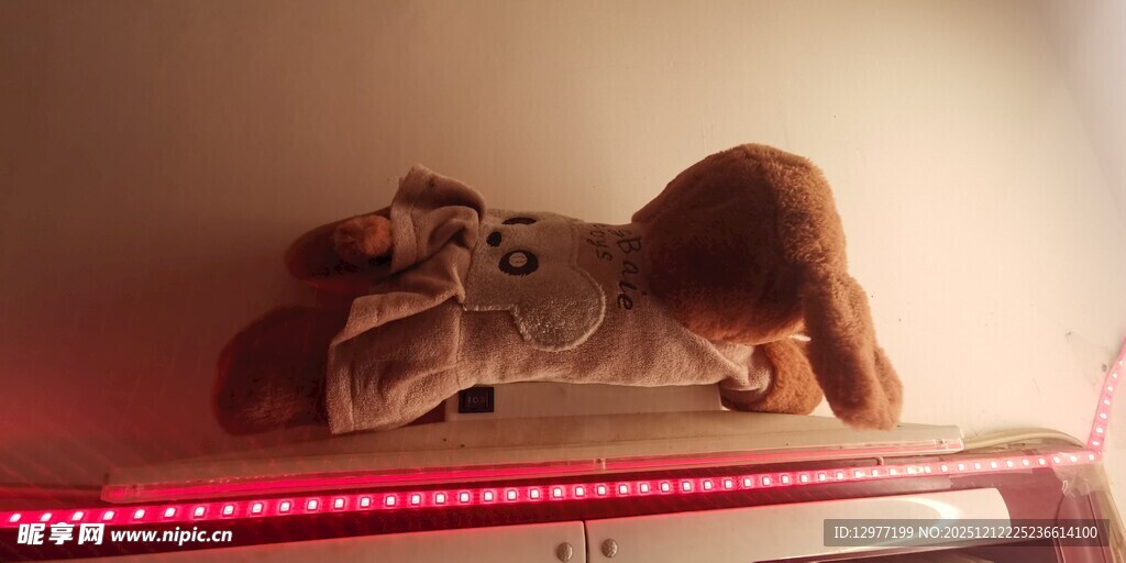 趴着的猫咪在暖色灯光下