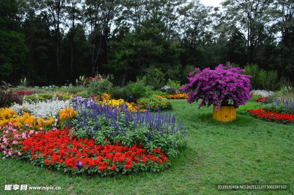 天坛花境风景  