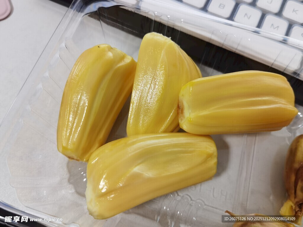 新鲜菠萝蜜果肉特写