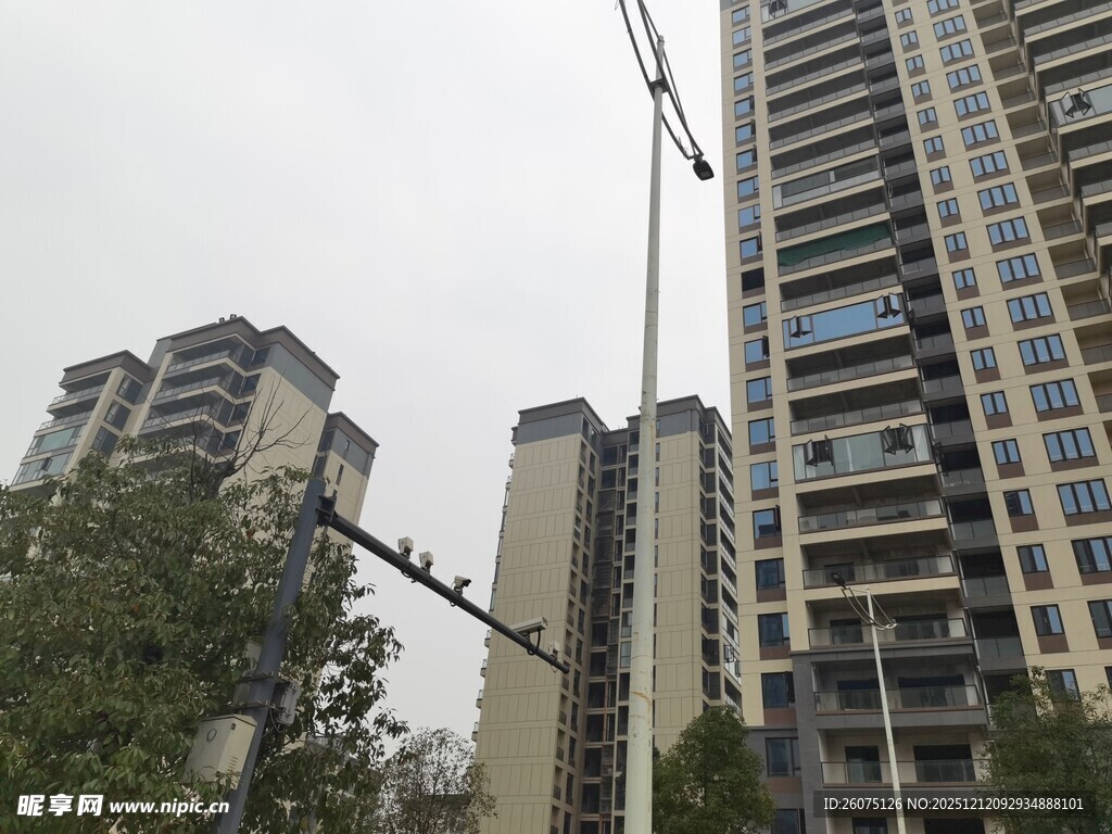 城市高楼与周边绿植景观