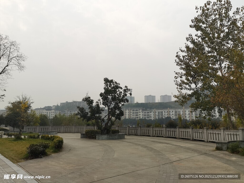 城市公园的开阔景观