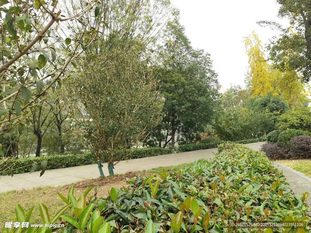 秋日园林小径景观