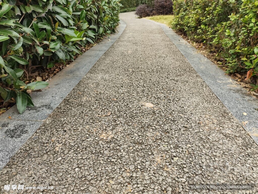 碎石小径绿植相伴