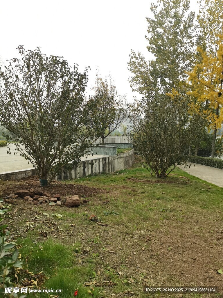 户外绿植环绕的开阔场地