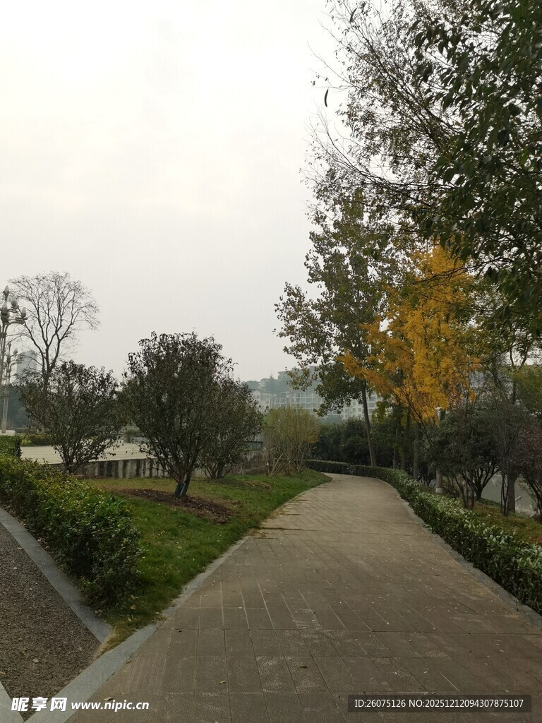 秋日静谧的林荫小道