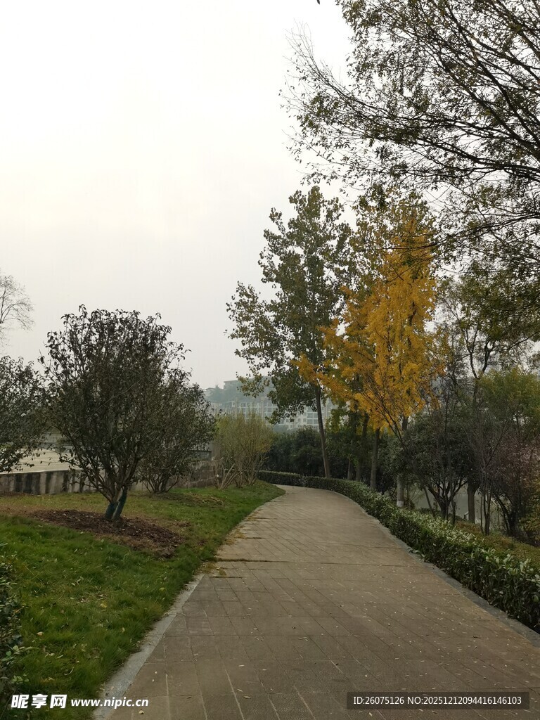 秋日公园幽静小路