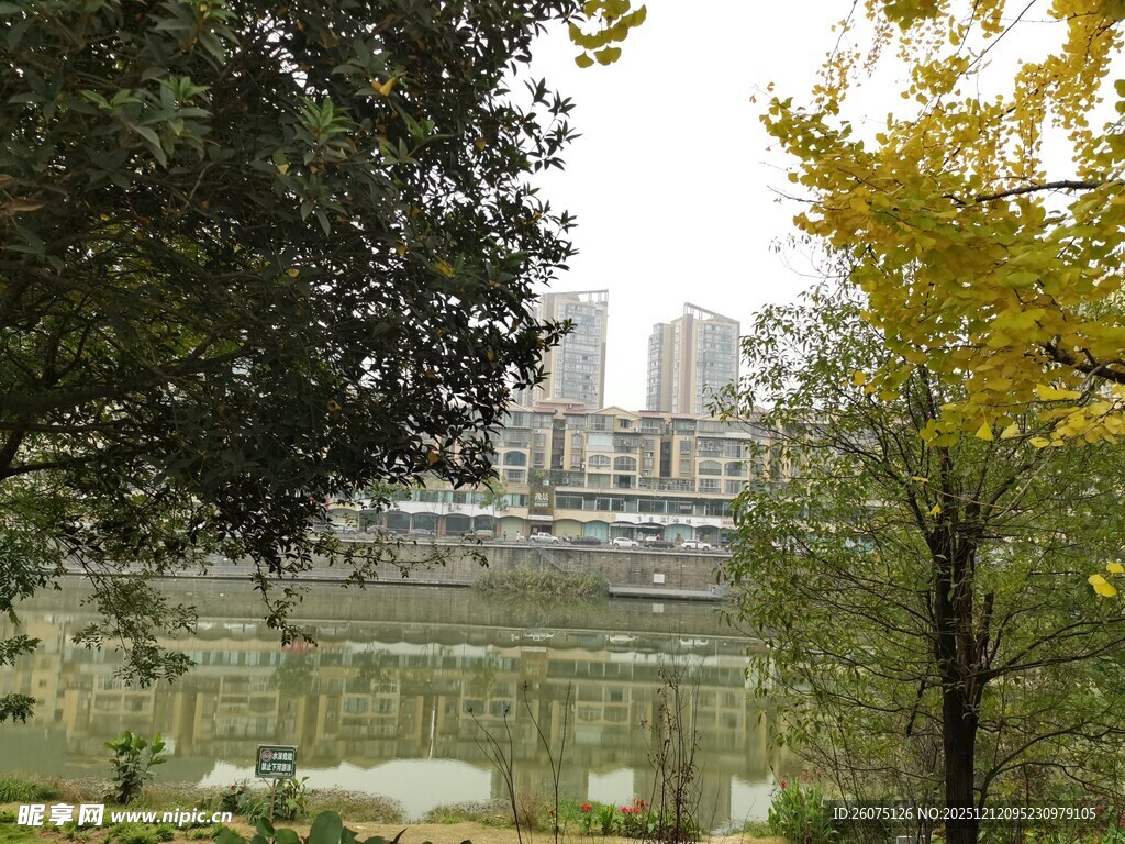 城市河畔秋景