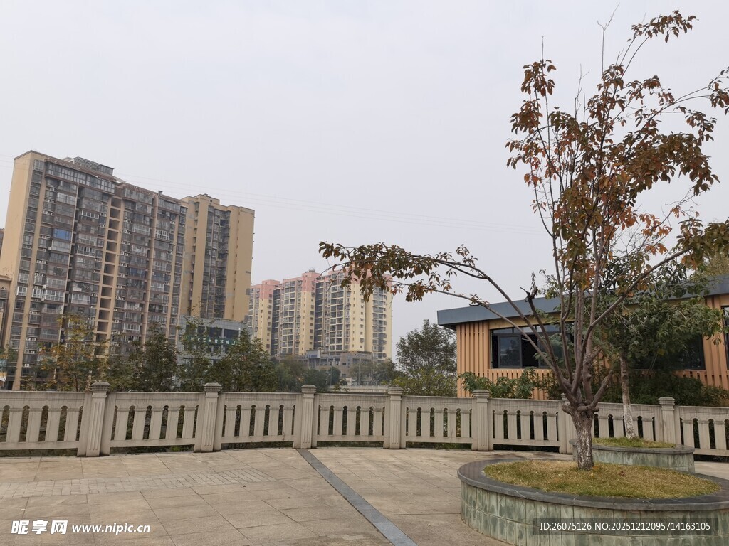 小区外的开阔景观