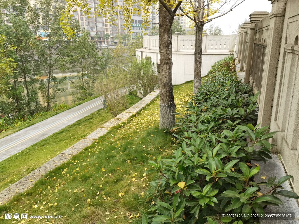 小区内的绿植与小径景观