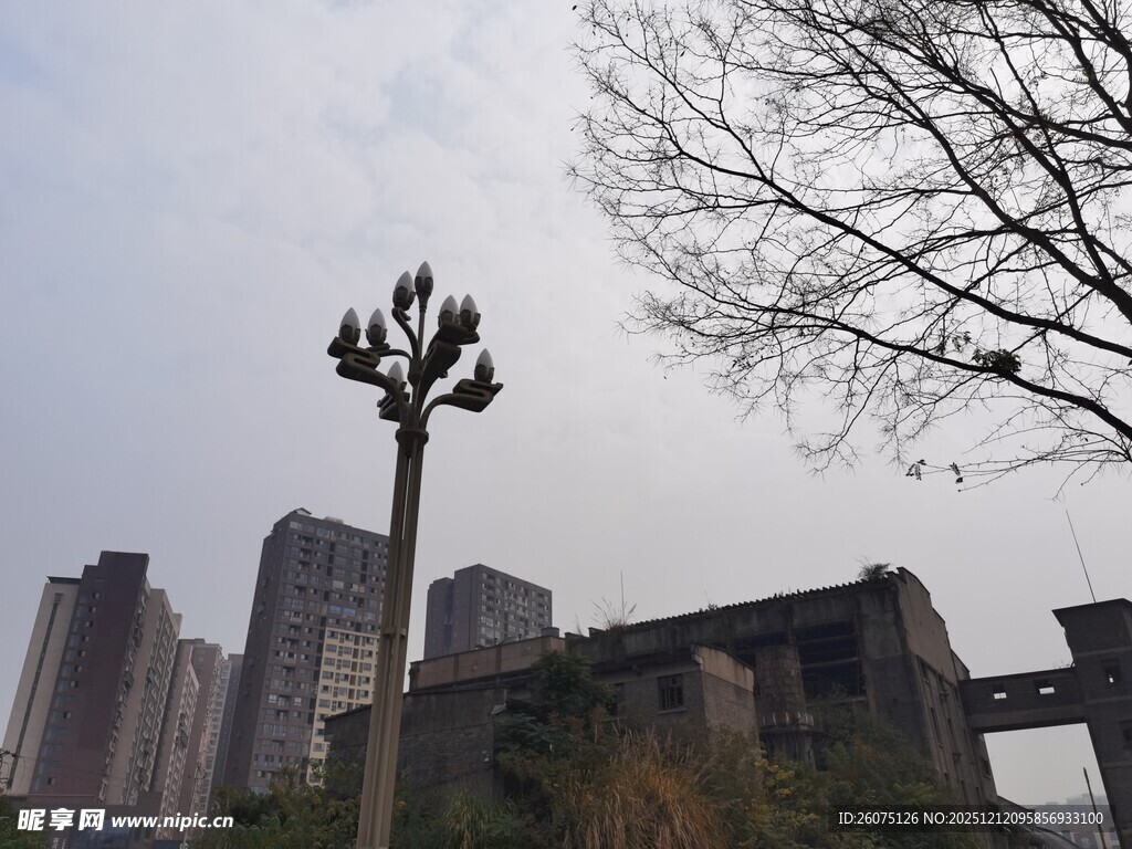 城市路灯与高楼景象