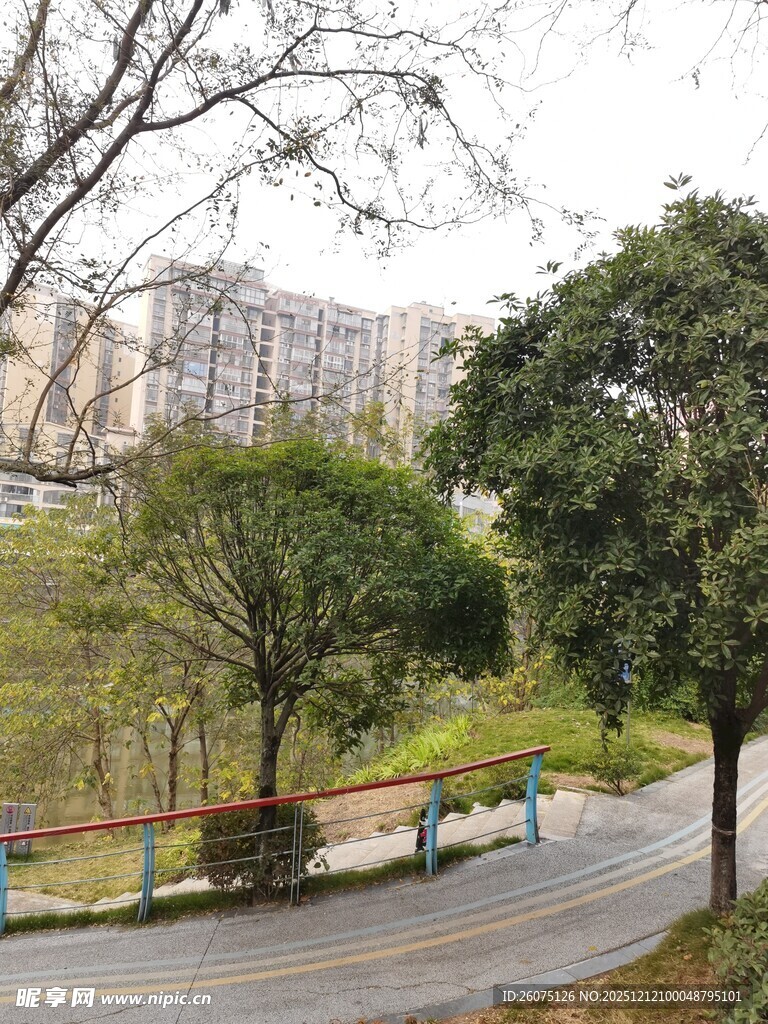 公园中的长椅与绿树