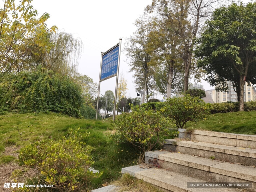 户外公园景观台阶与绿植