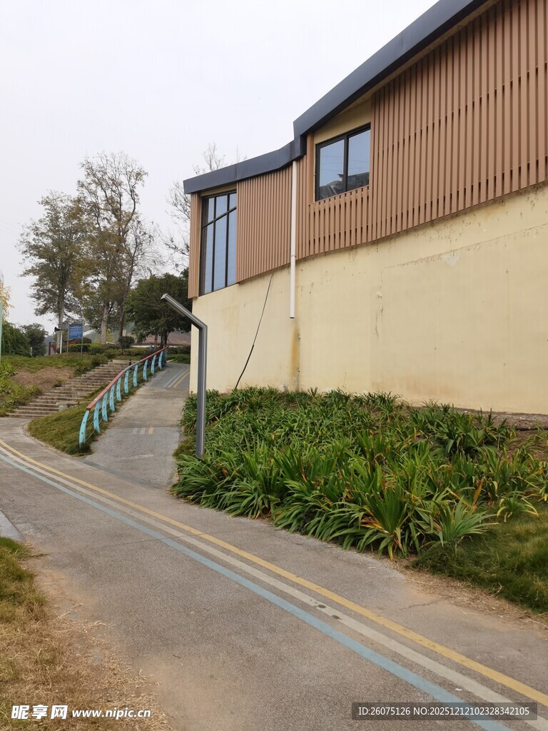 乡村路旁的低矮建筑