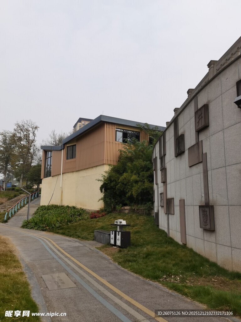 校园道路旁的建筑景观