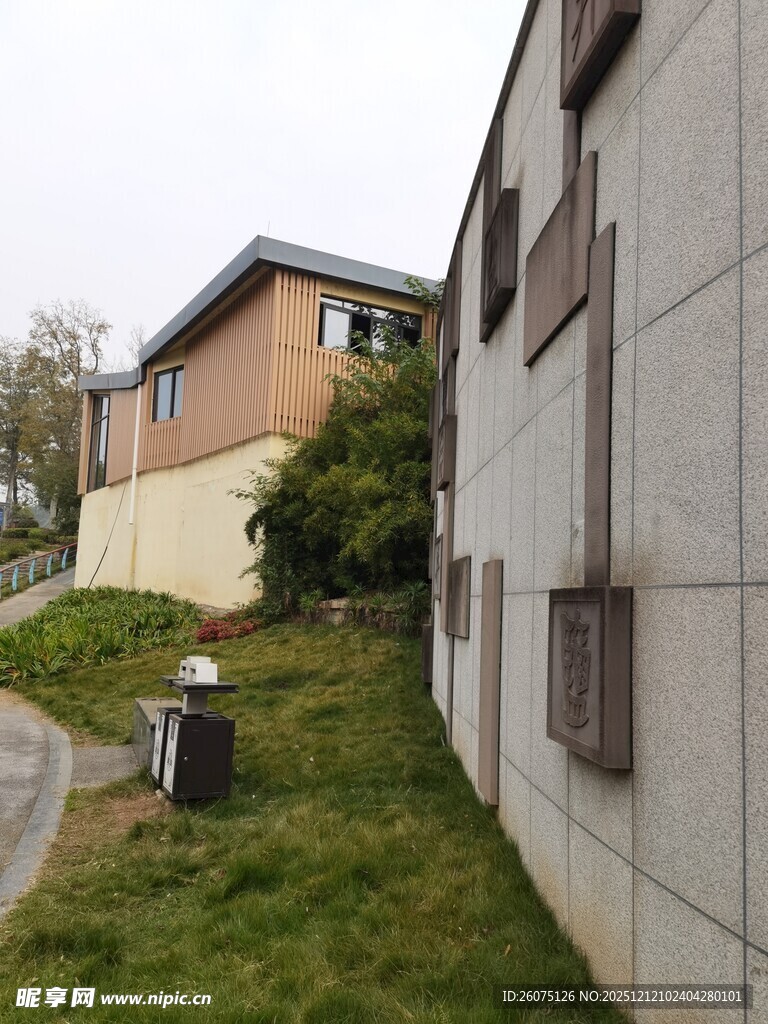 户外建筑旁的绿植景观