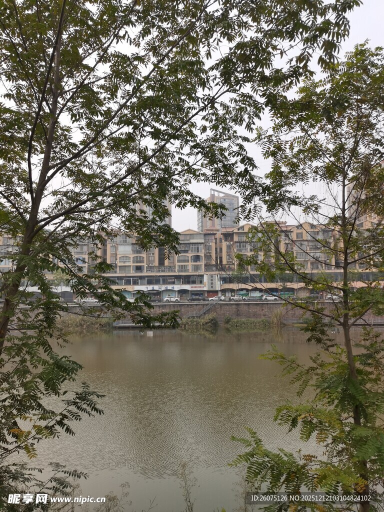 河畔树木掩映下的城市景致