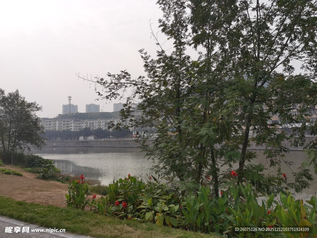 河畔绿植环绕的宁静景致