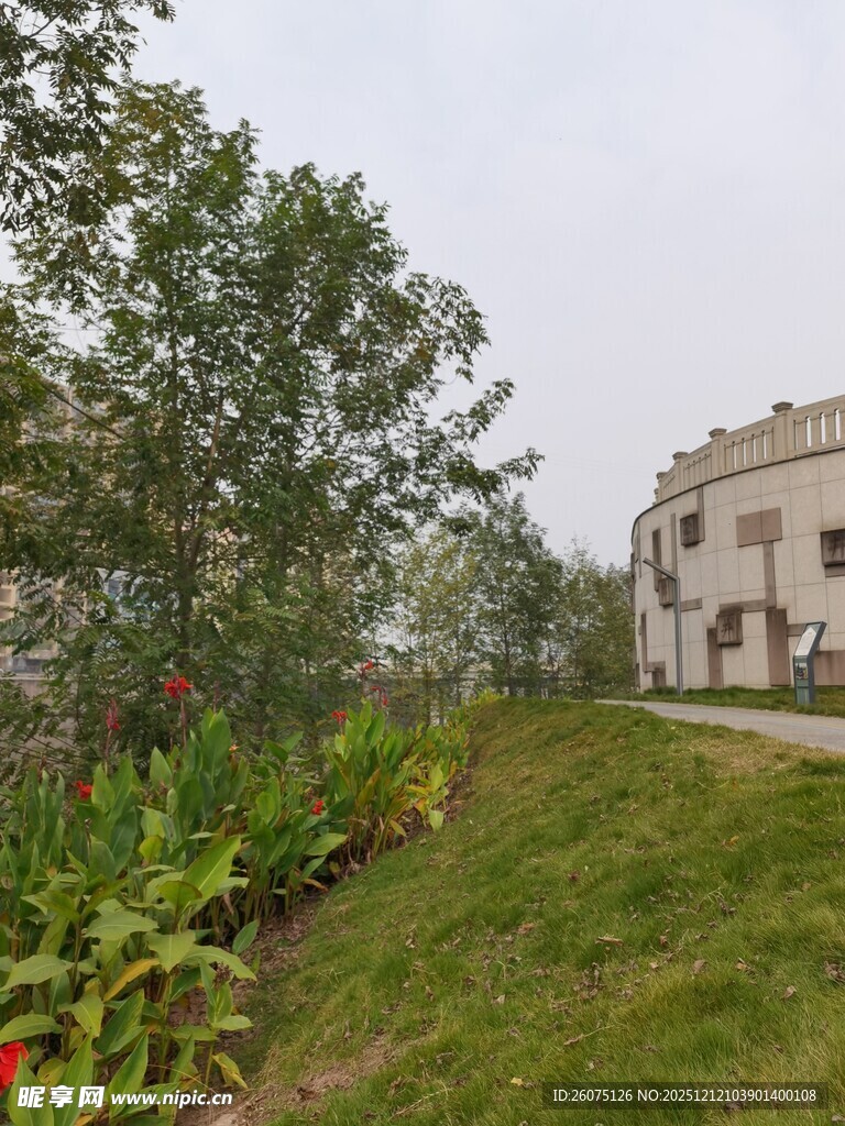 乡村住宅旁的绿植景观