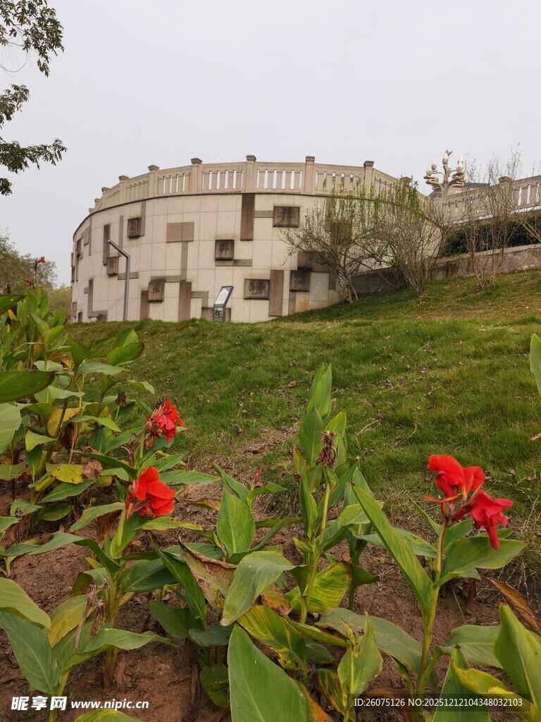 古老建筑旁绽放的红花