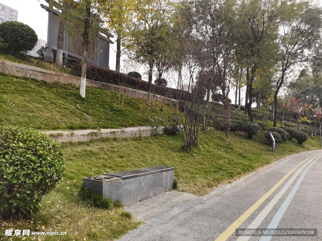 城市路边绿意盎然景观