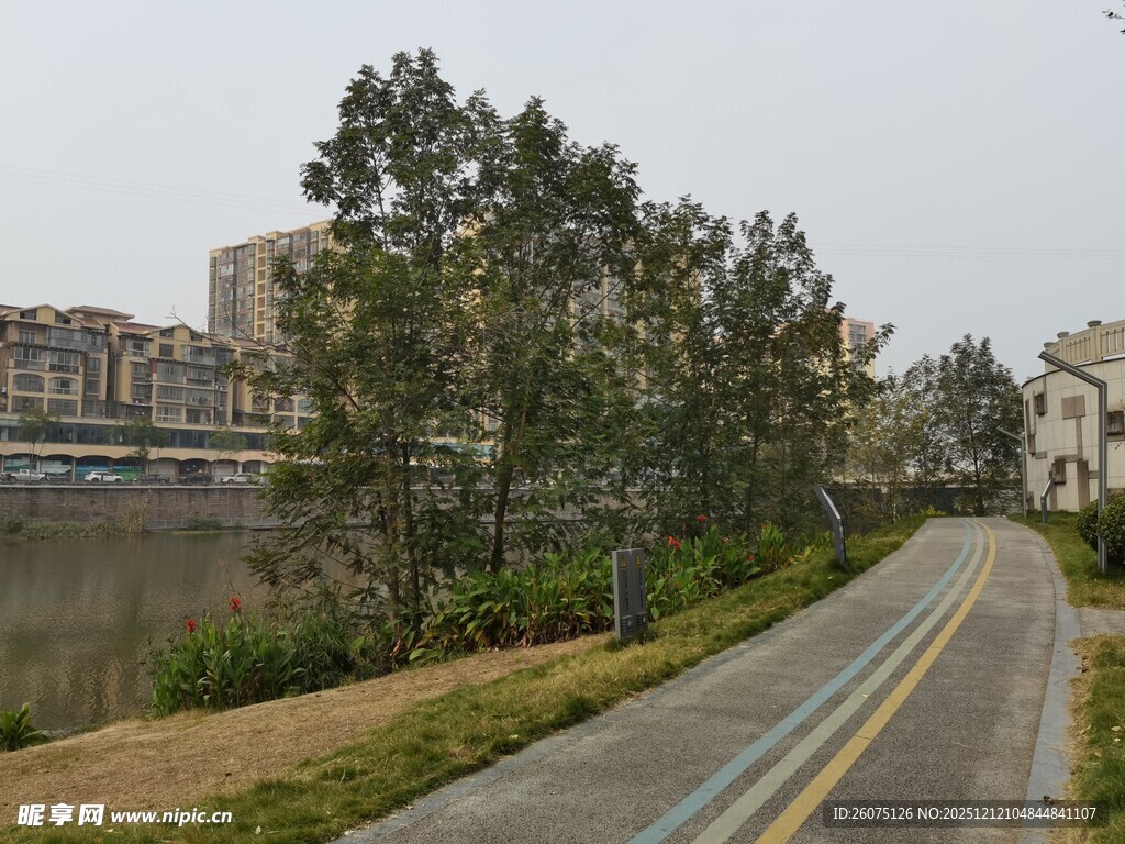 城郊静谧林荫公路