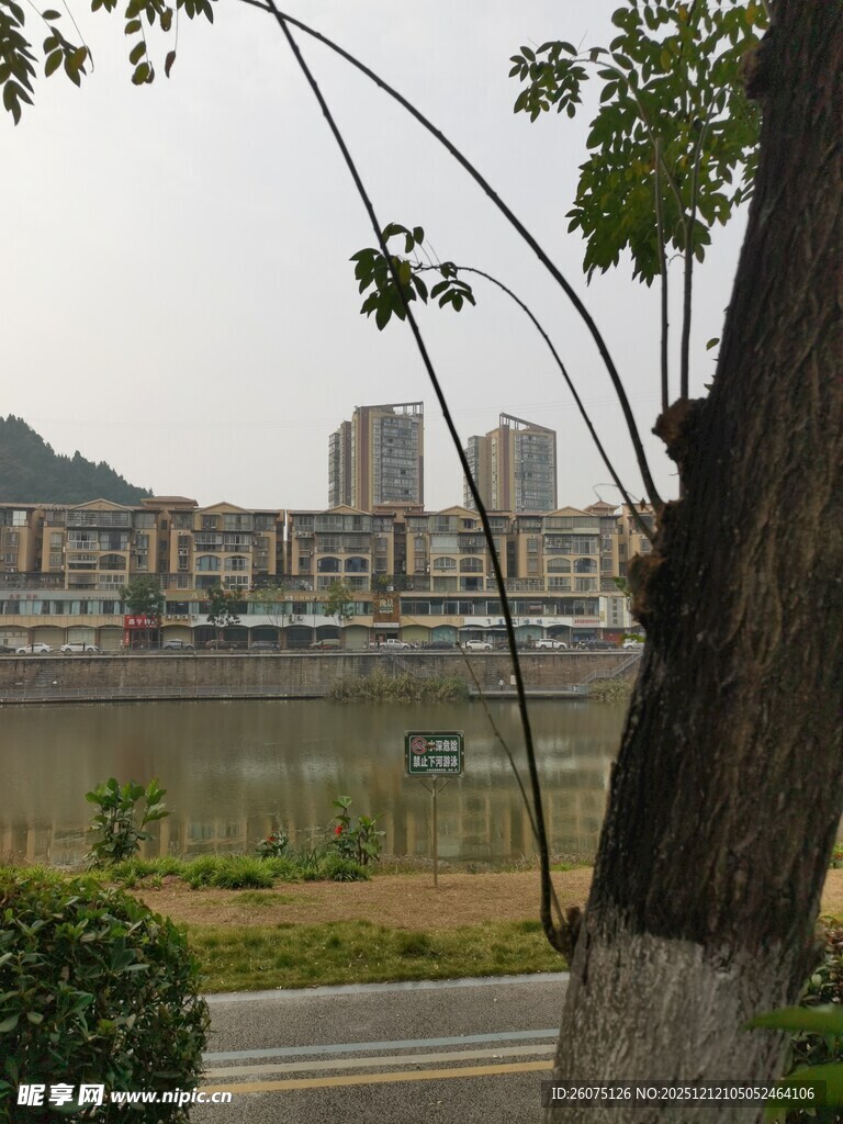 河畔绿树旁的城市风景