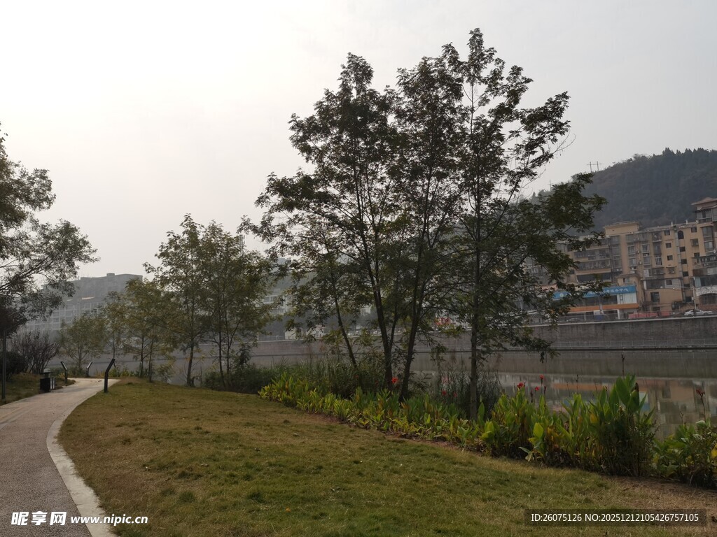 城郊小路旁的绿植与树木