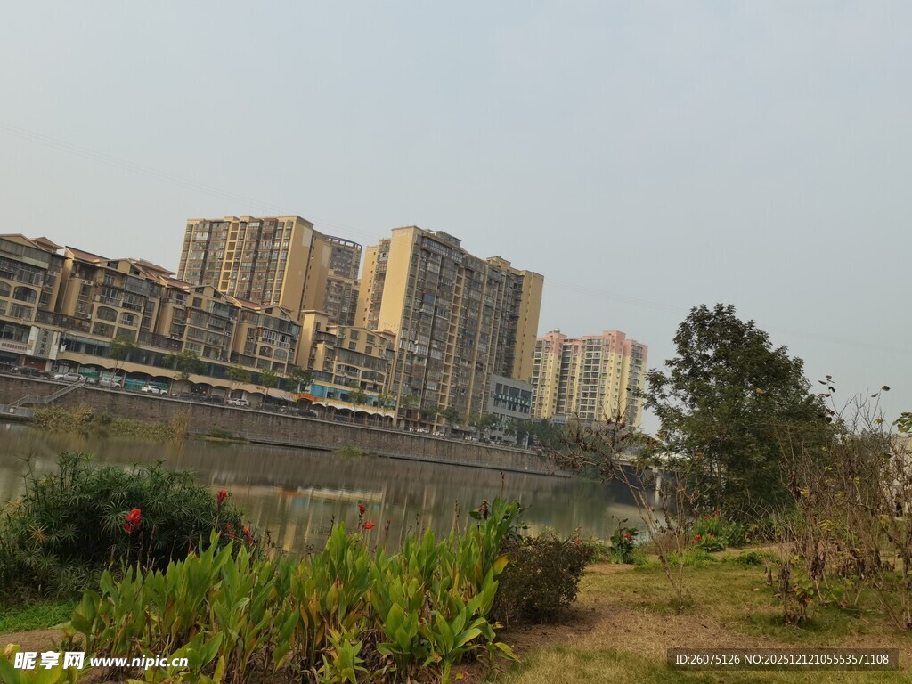 城郊住宅区与绿植景观