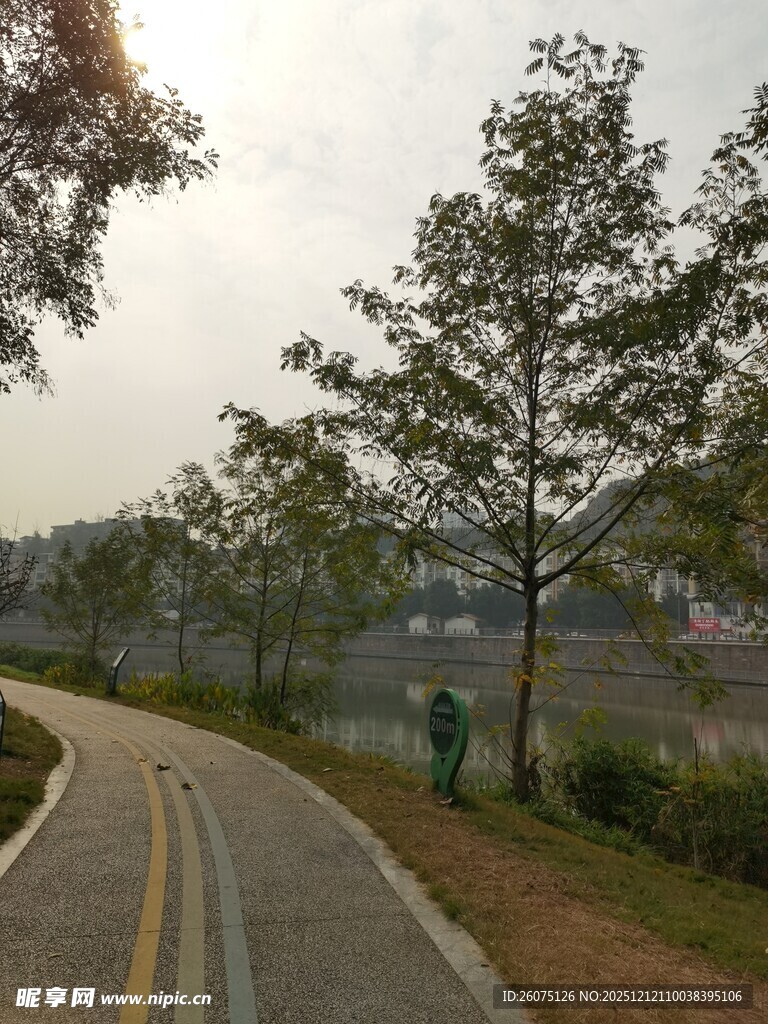 蜿蜒路边绿树相伴的景致