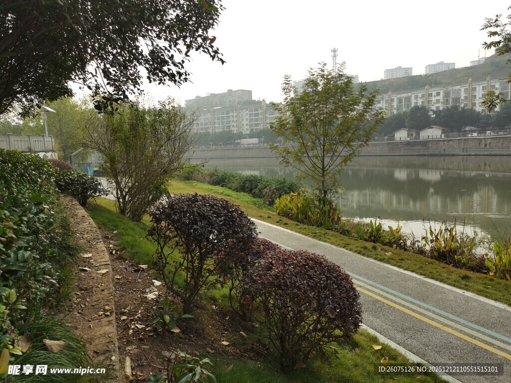 河畔绿植环绕的宁静小路