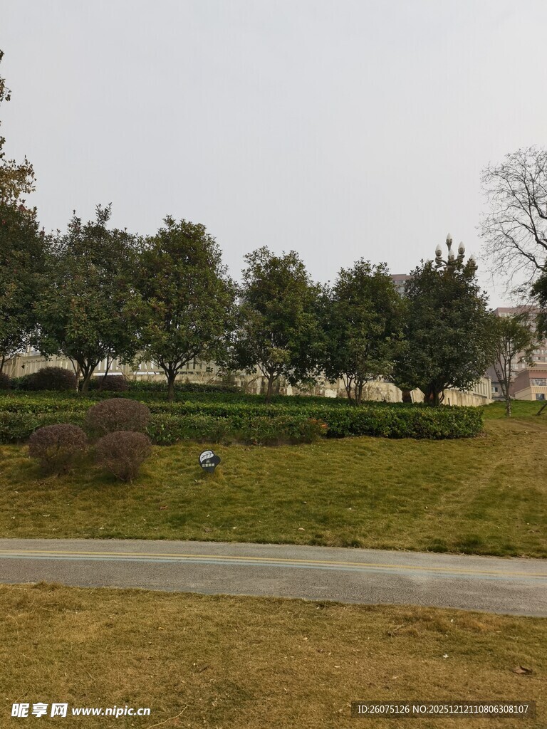 郊外道路旁的绿植景观