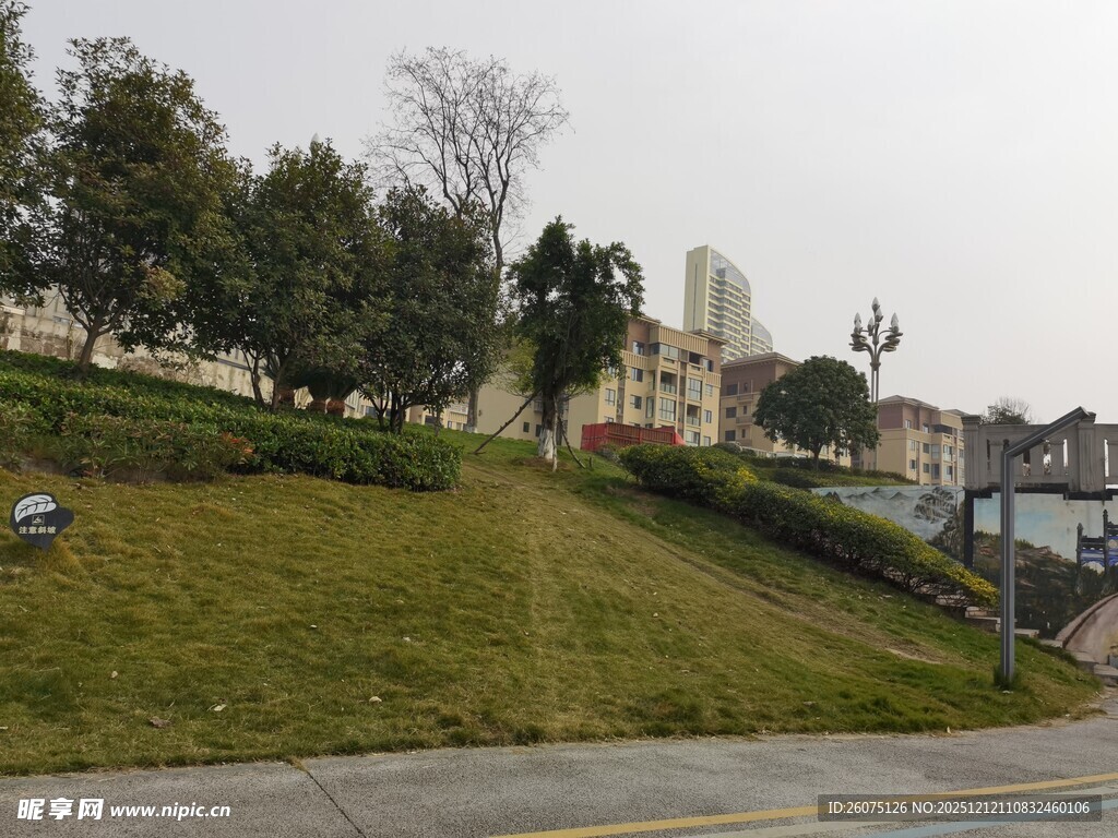 城郊道路旁的绿植与建筑